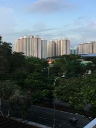 Seletar View (D28), Terrace #498553451